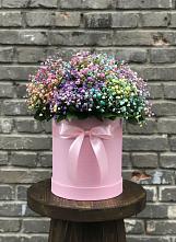 Цветочная композиция из Гипсофила и Розы в шляпной коробке в Савино Новгородская область