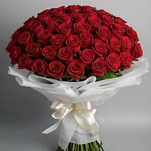 Букет 101 Красная роза Блэк Мэджик #REPLACE_PRED# Савино Новгородская область