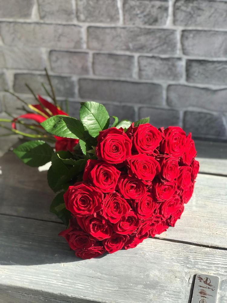 Букет Красные розы Фридом в Савино Новгородская область