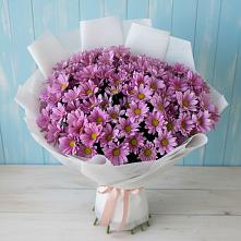 Букет цветов из:  Хризантемы в Савино Новгородская область