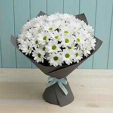 Букет цветов из:  Хризантемы #REPLACE_PRED# Савино Новгородская область