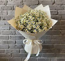 Букет цветов из:  Ромашки в Савино Новгородская область
