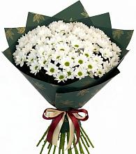 Букет цветов из:  Хризантемы в Савино Новгородская область