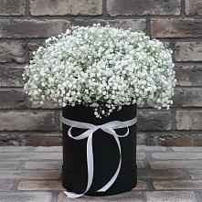 Цветочная композиция из Гипсофила в шляпной коробке в Савино Новгородская область