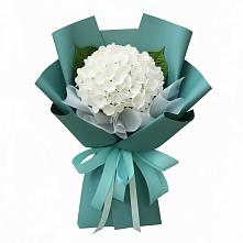 Букет цветов из:  Гортензия в Савино Новгородская область